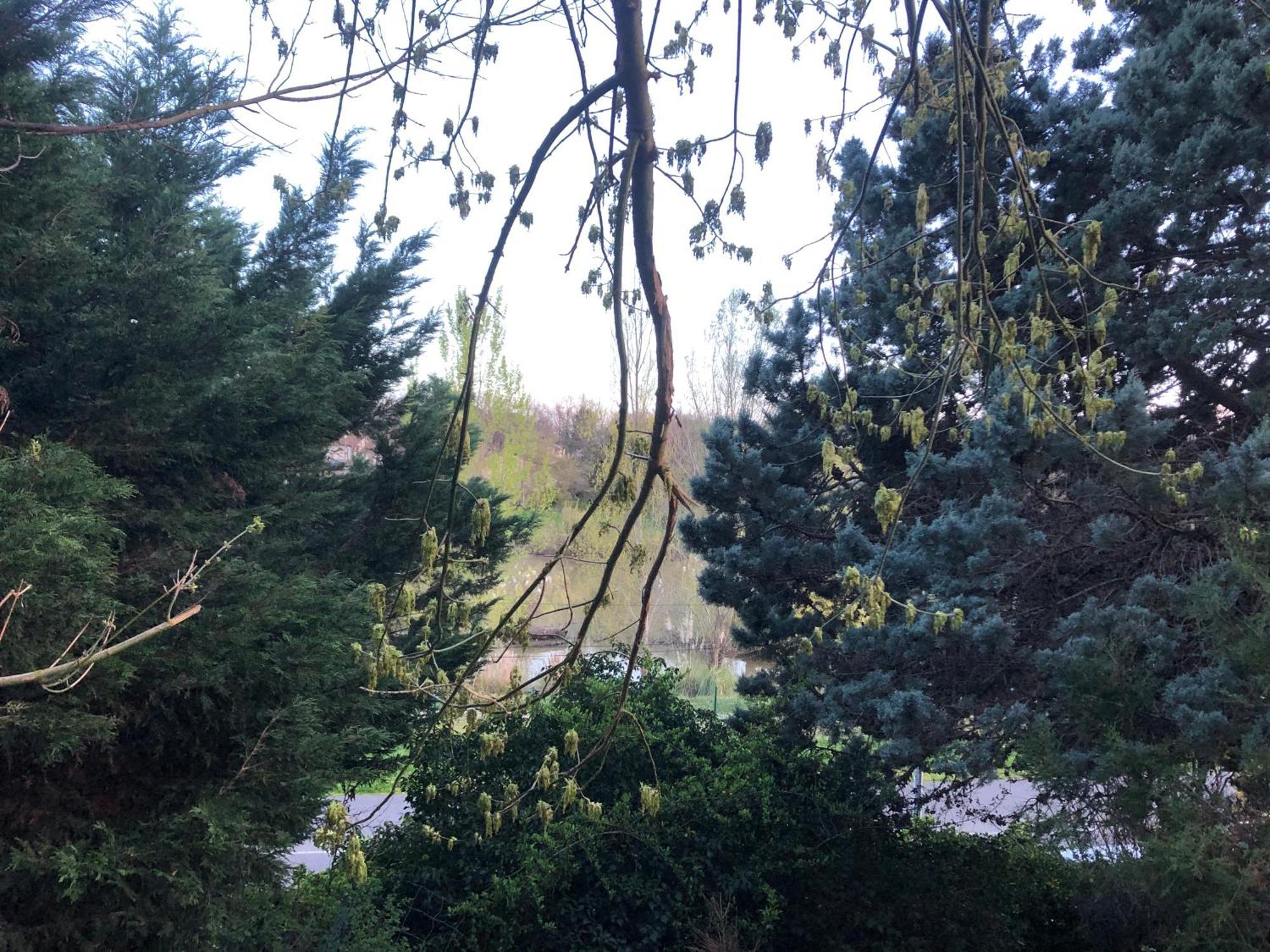 Logement Entier Aussonne Exterior foto